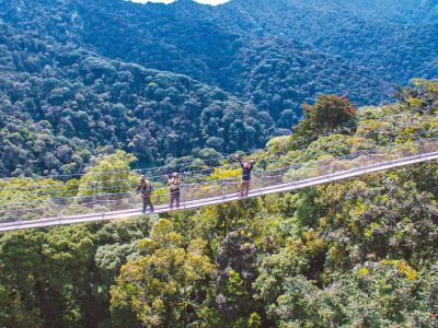African-Parks-commits-to-long-term-protection-of-Nyungwe-National-parksad